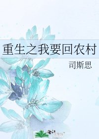 重生之我要回农村