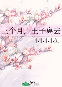 三个月,王子离去